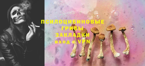 спиды Россошь