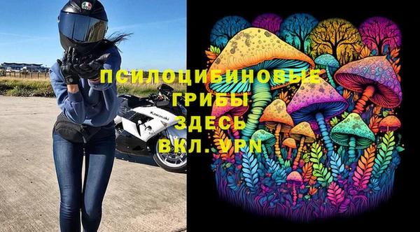 стаф Рославль